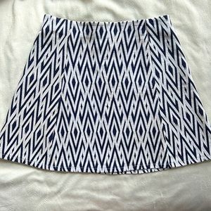 Zara A-Line Skirt